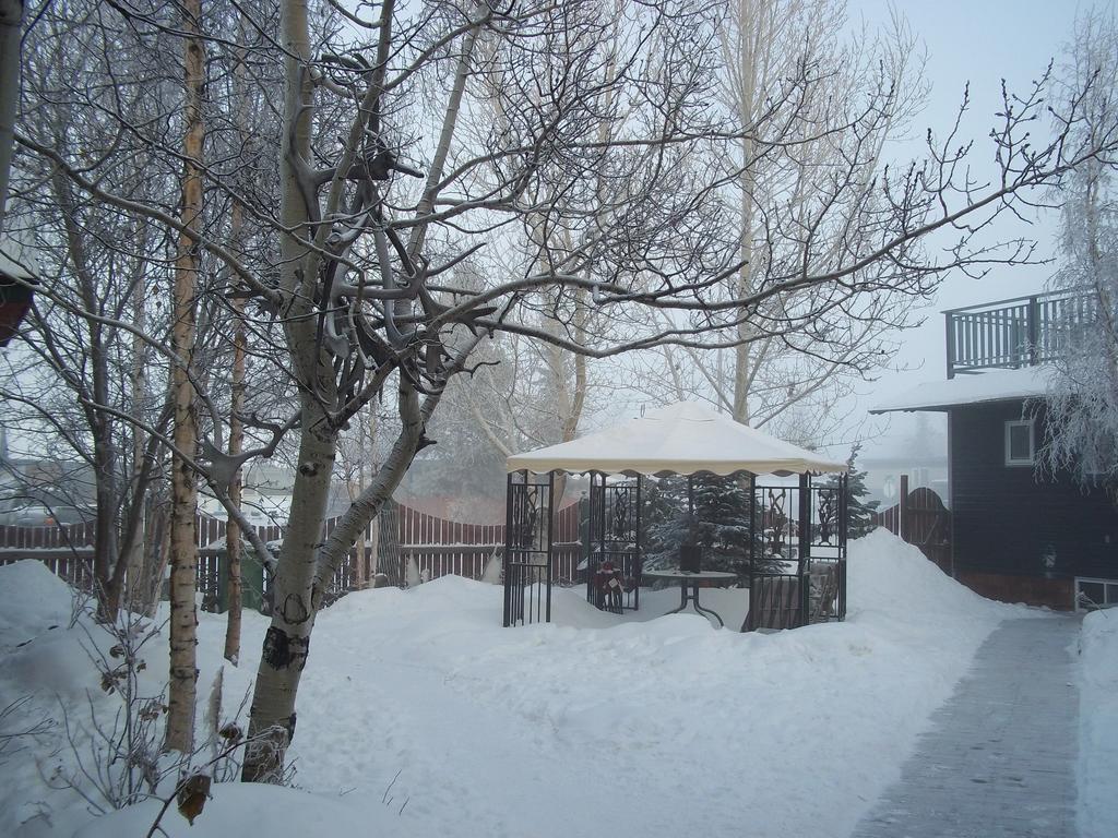 Historical Guest House Whitehorse Exteriör bild